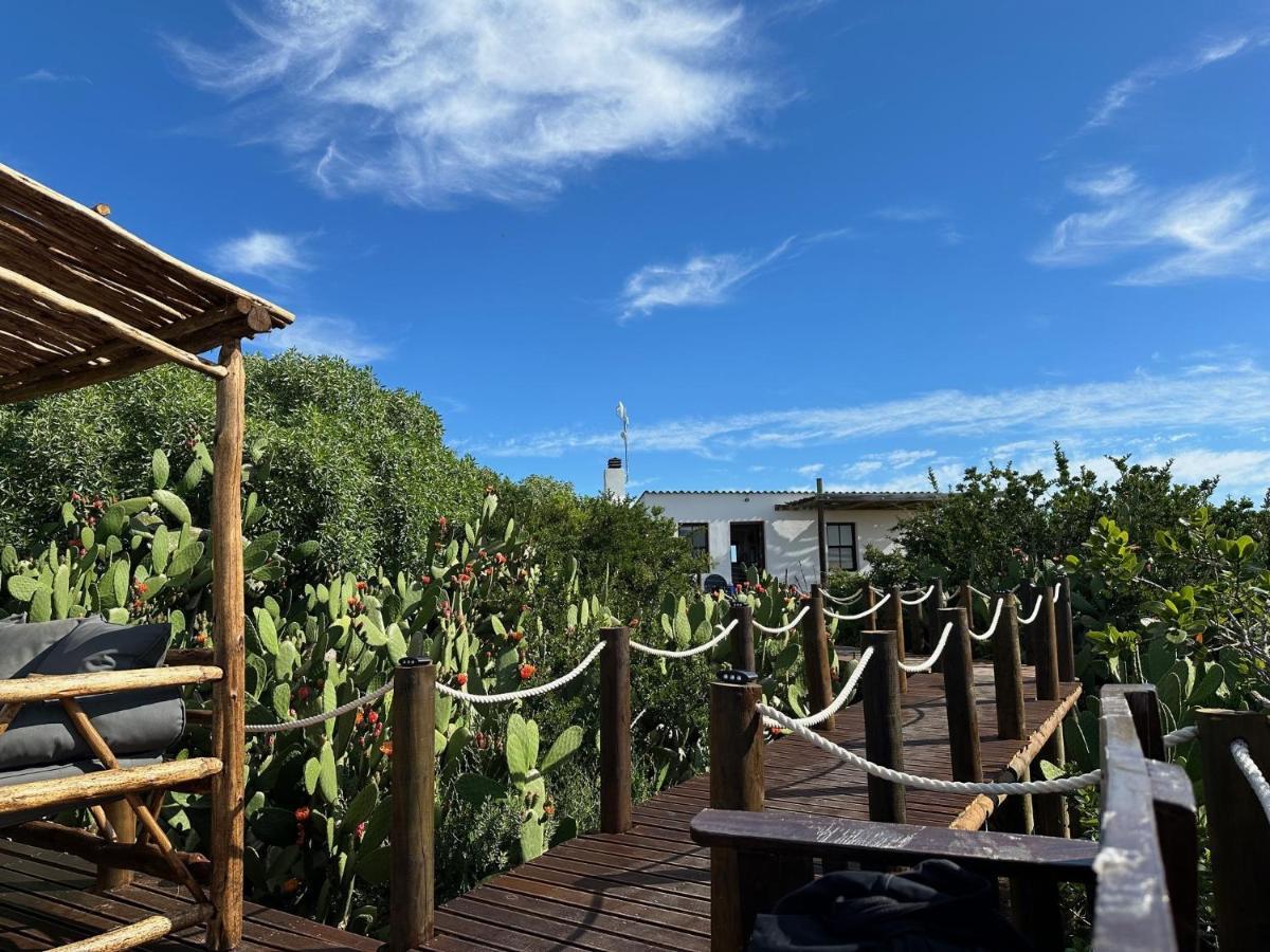 Ostrich Cottage At Les Wings Private Game Farm Groot-Jongensfontein Exterior photo